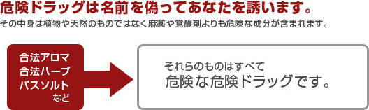 危険ドラッグの危険性 熊本市薬剤師会